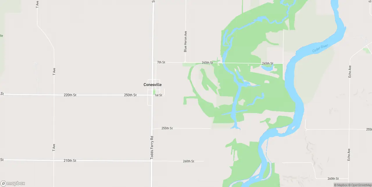 Internet in Conesville