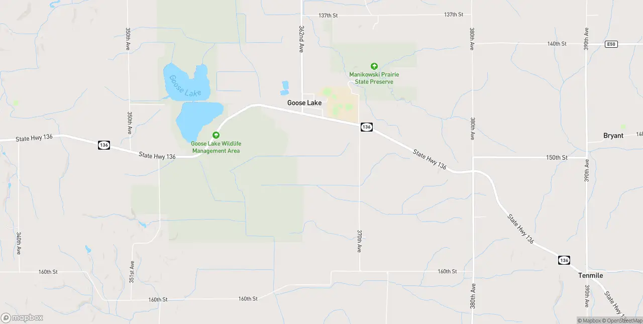 Internet in Goose Lake
