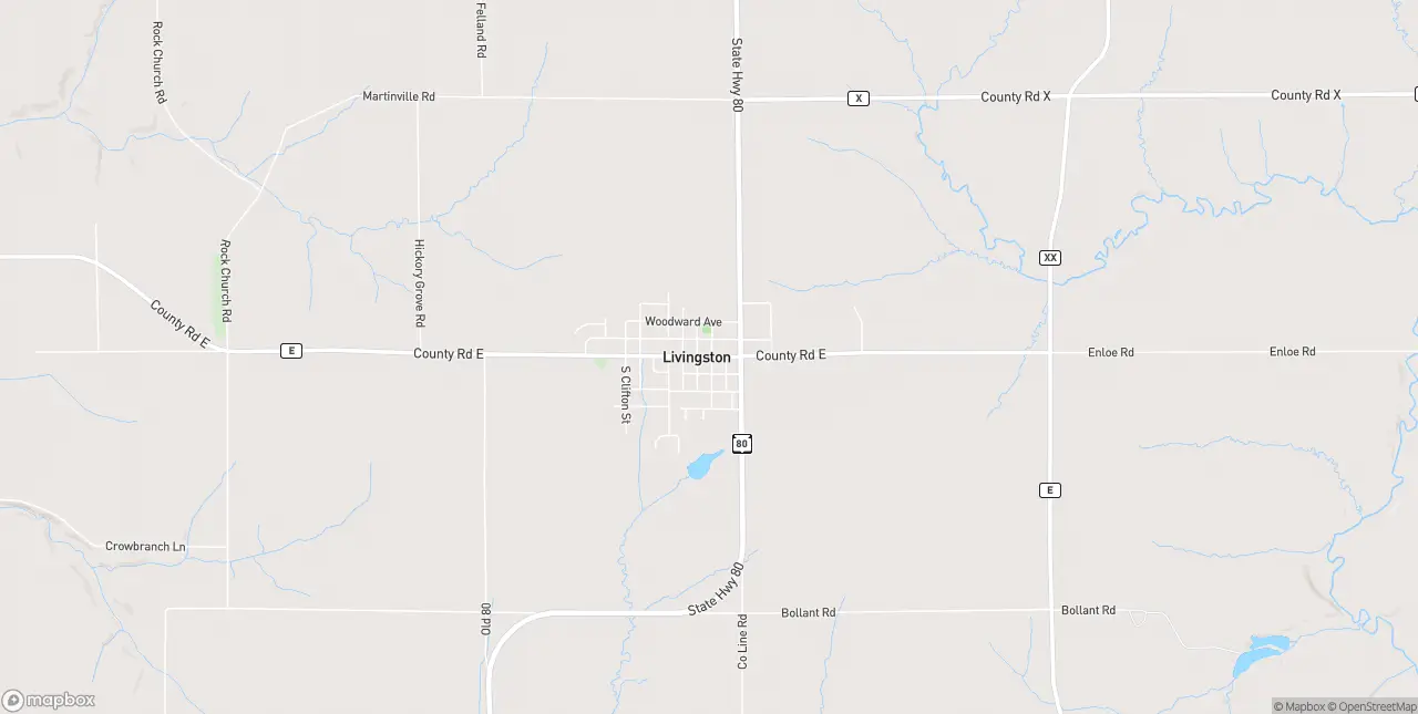Internet in Livingston