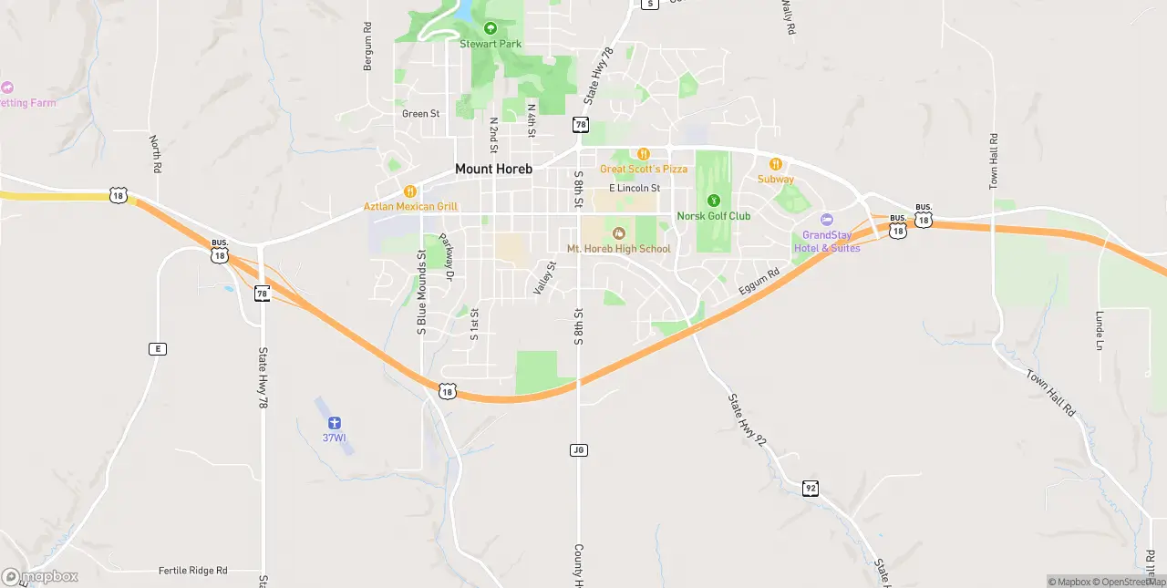 Internet in Mount Horeb