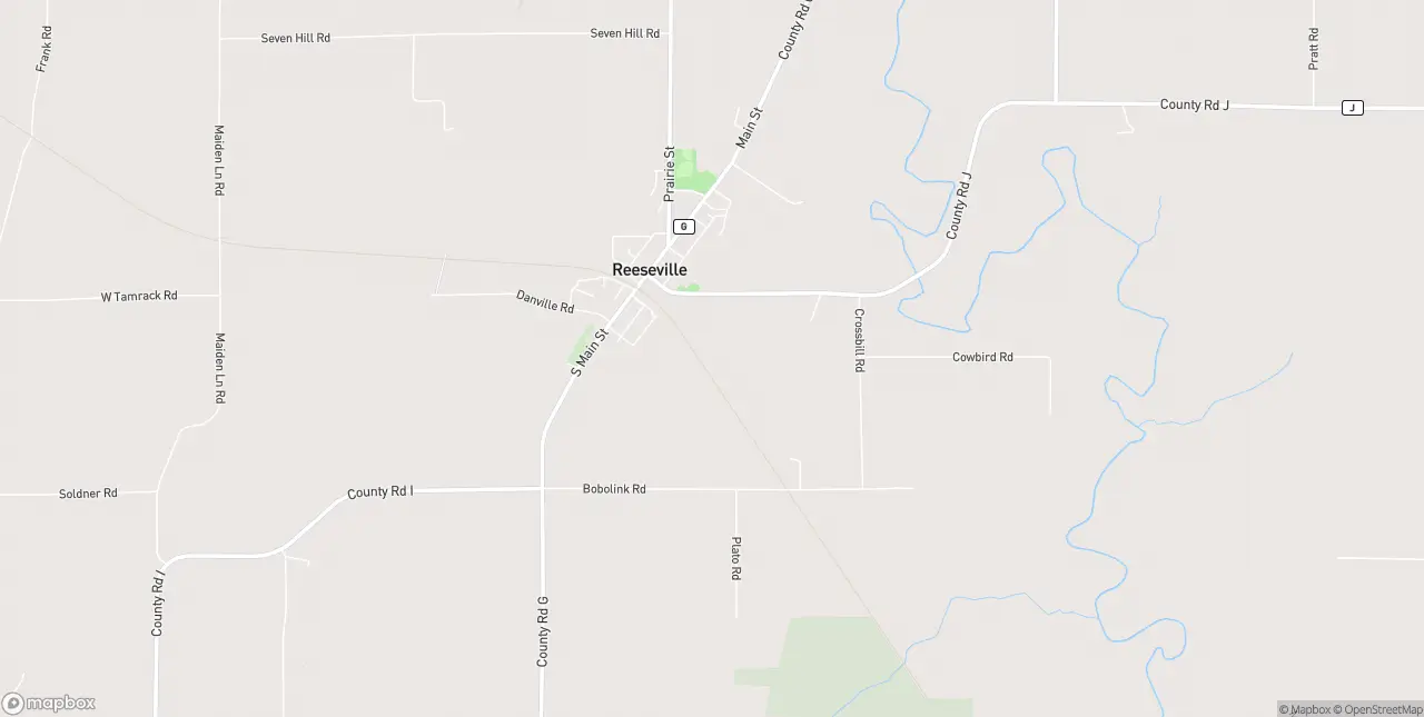 Internet in Reeseville