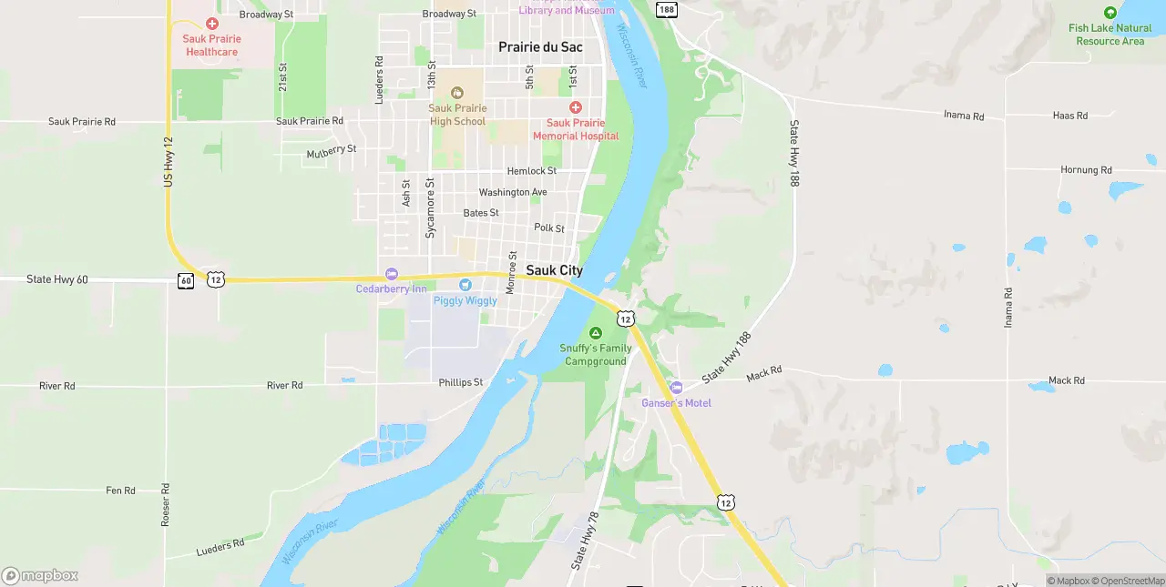 Internet in Sauk City