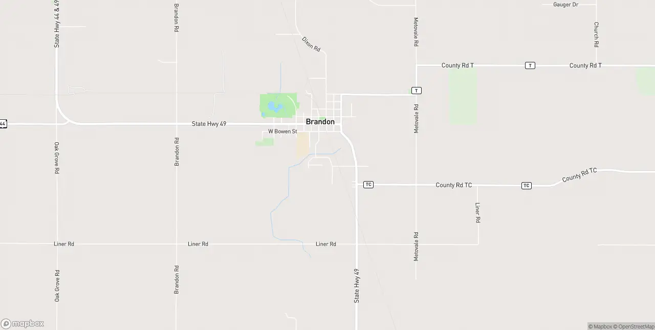 Internet in Brandon
