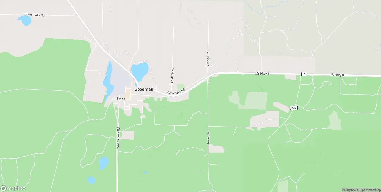Internet in Goodman