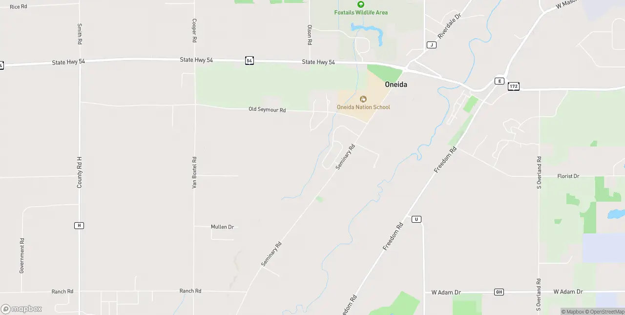 Internet in Oneida