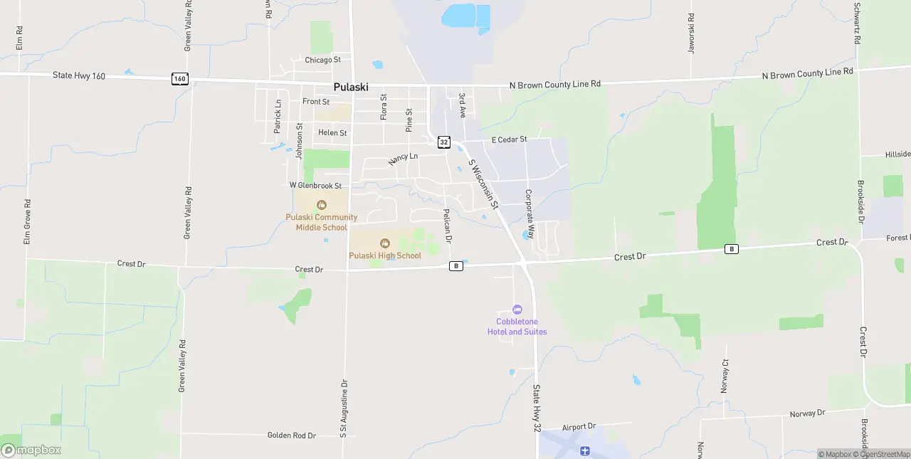 Internet in Pulaski