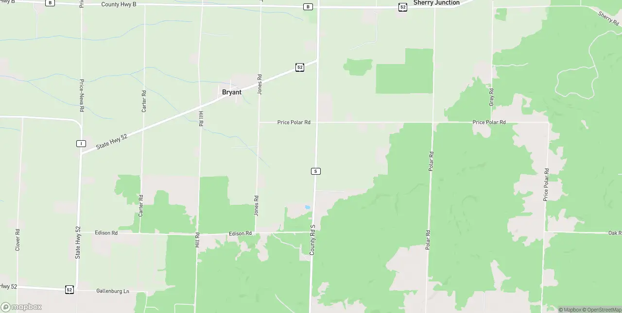 Internet in Bryant