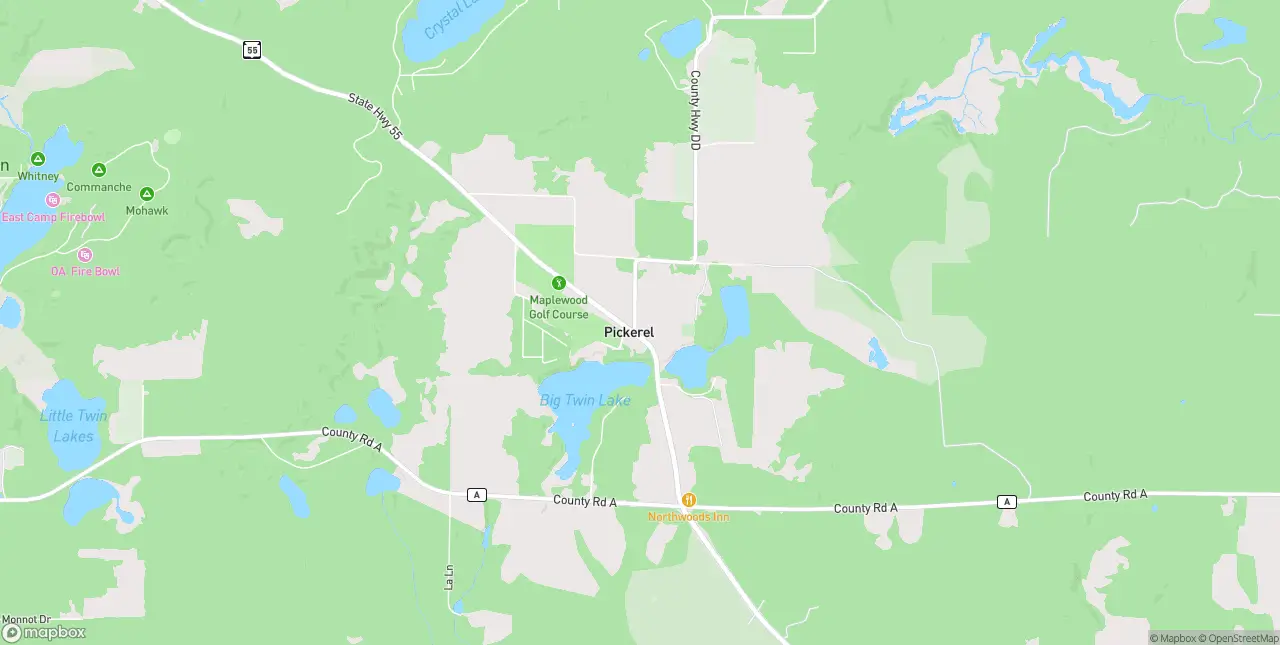 Internet in Pickerel