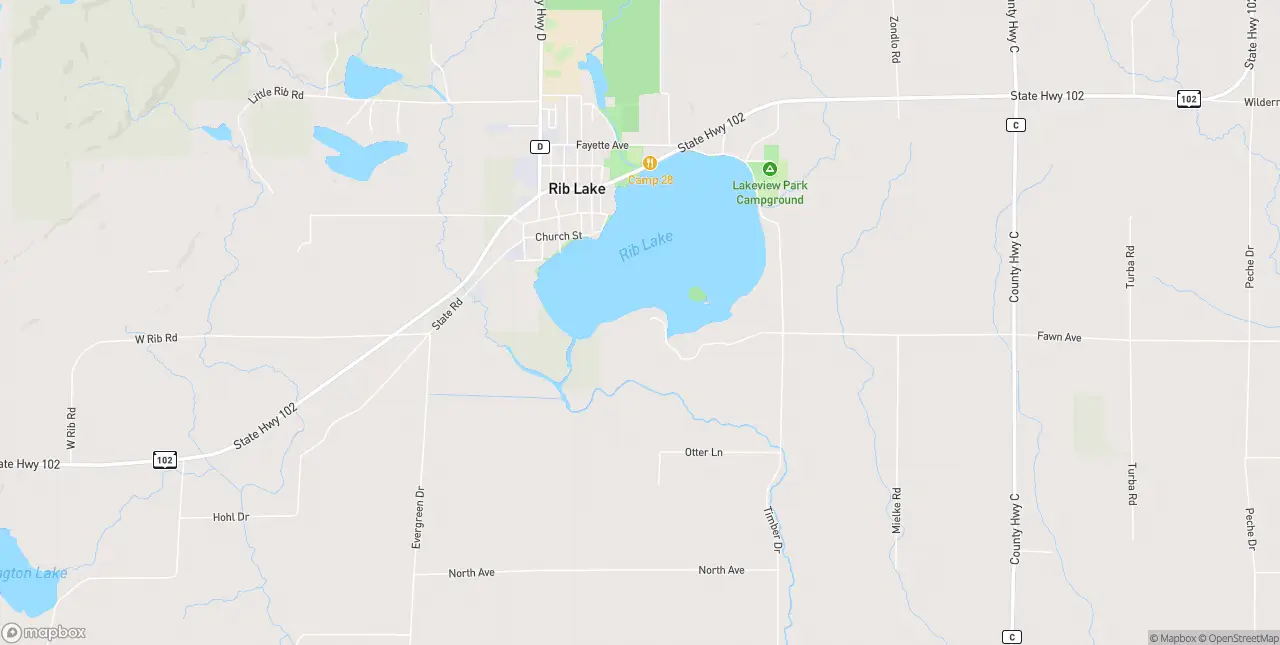 Internet in Rib Lake
