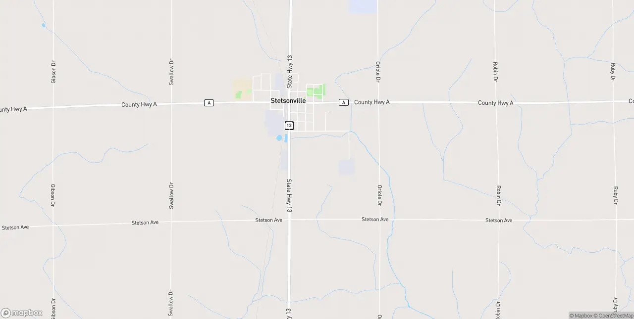 Internet in Stetsonville