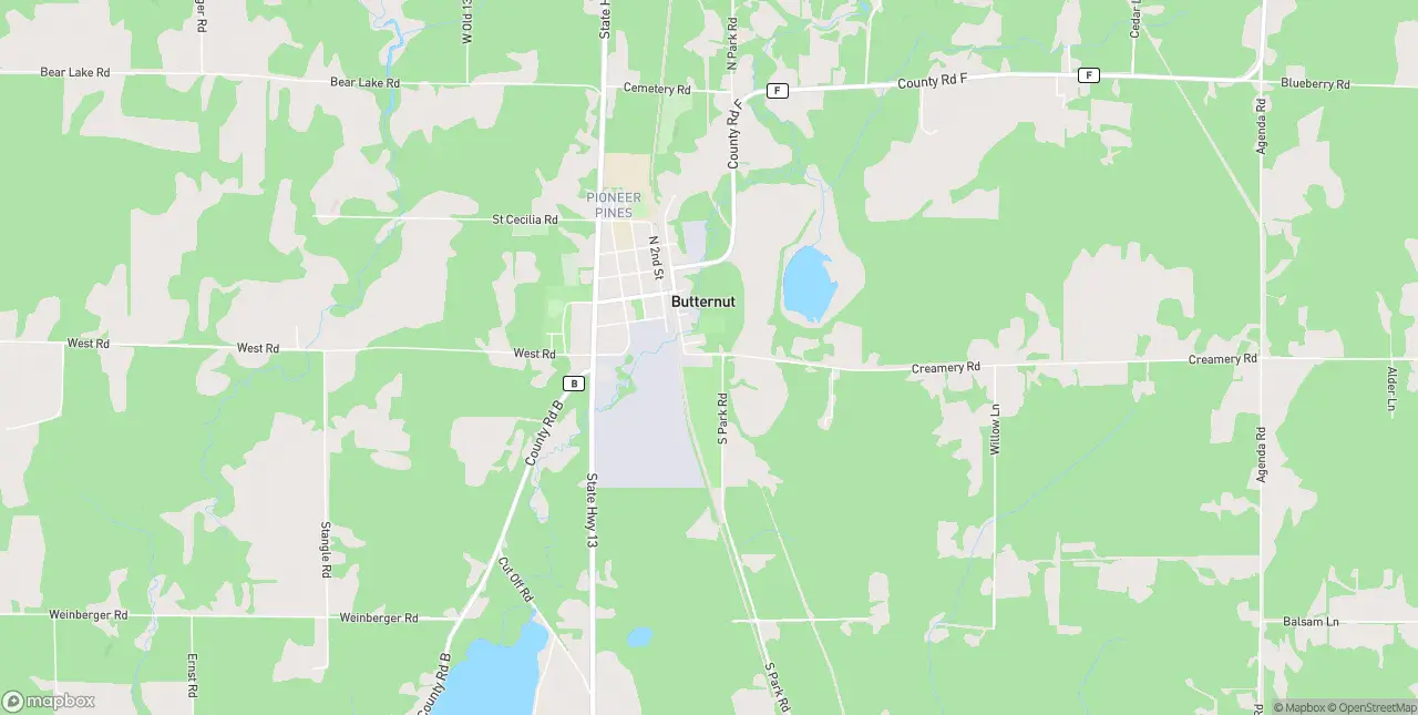 Internet in Butternut