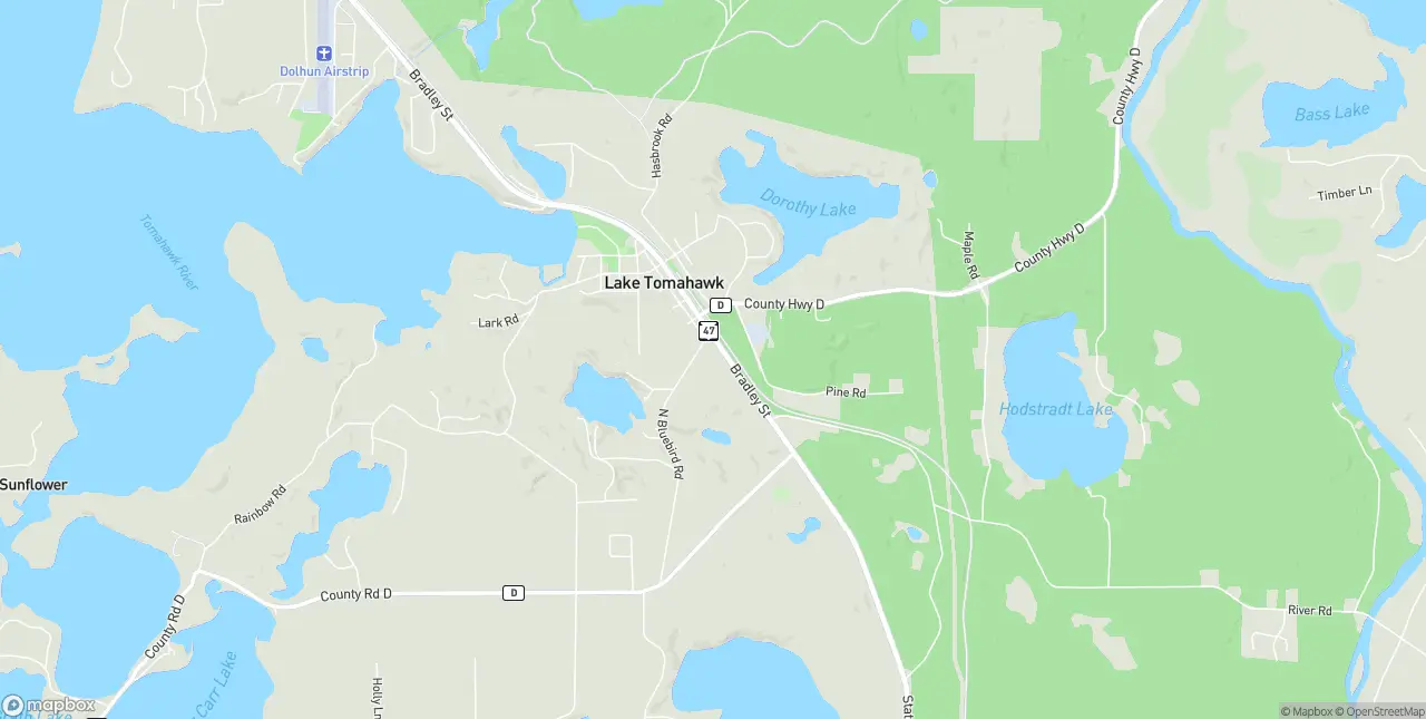 Internet in Lake Tomahawk