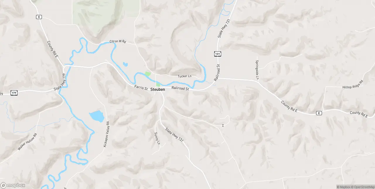 Internet in Steuben