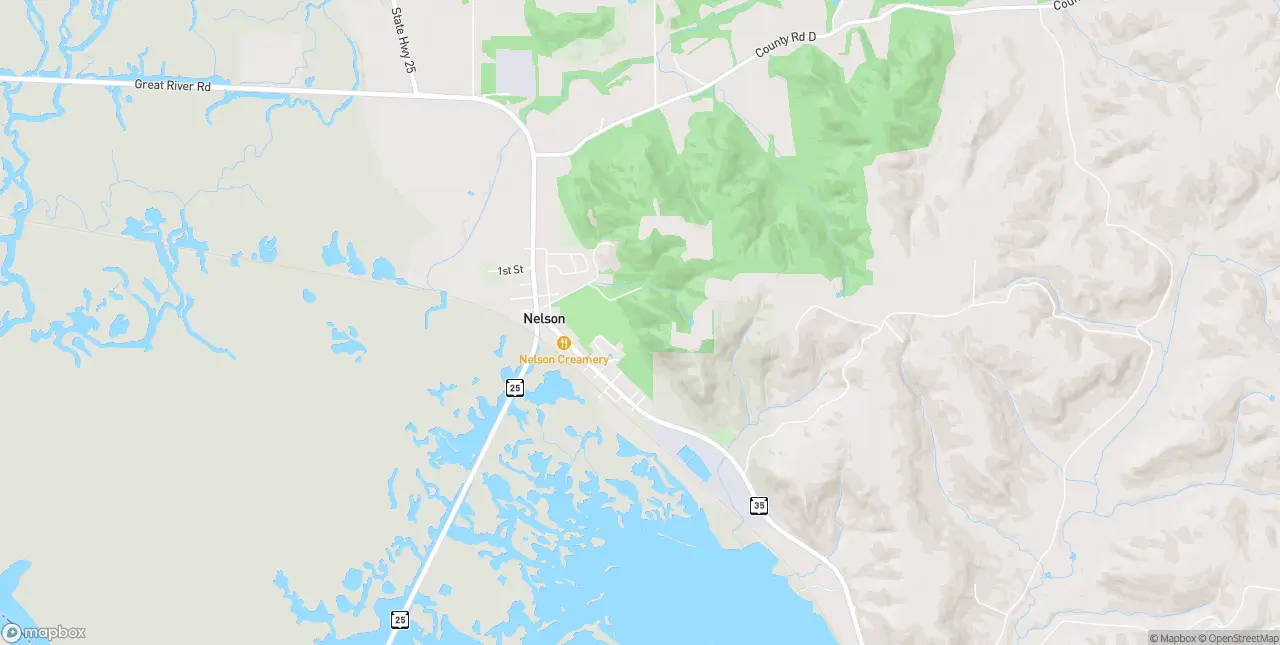 Internet in Nelson
