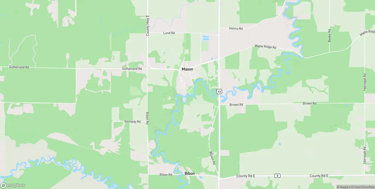 Internet in Mason