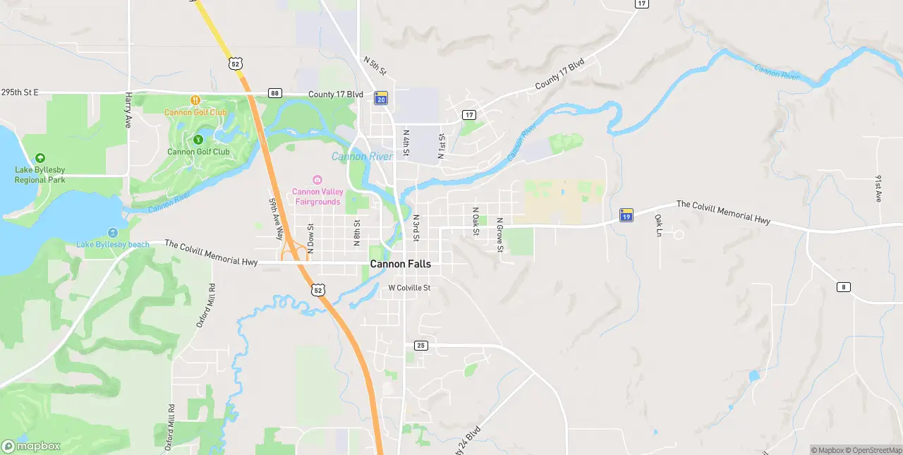Internet in Cannon Falls