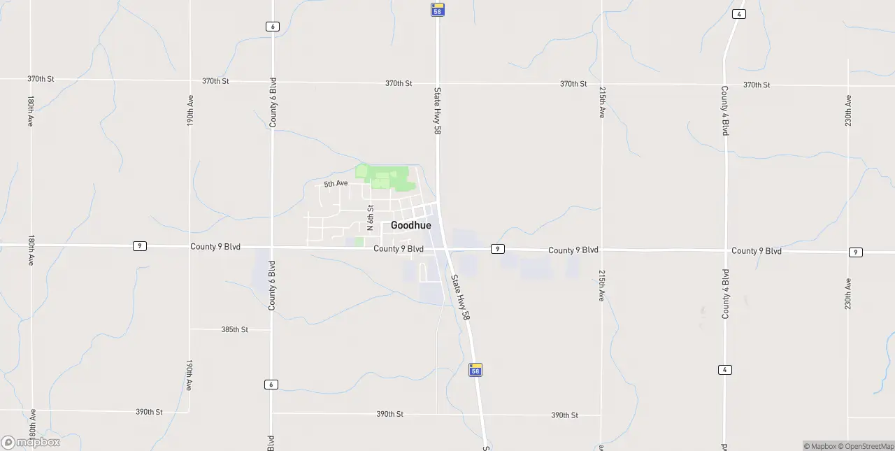 Internet in Goodhue