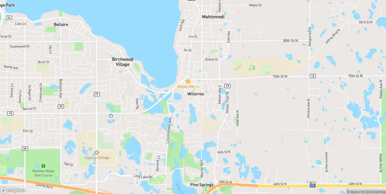 Internet in Willernie