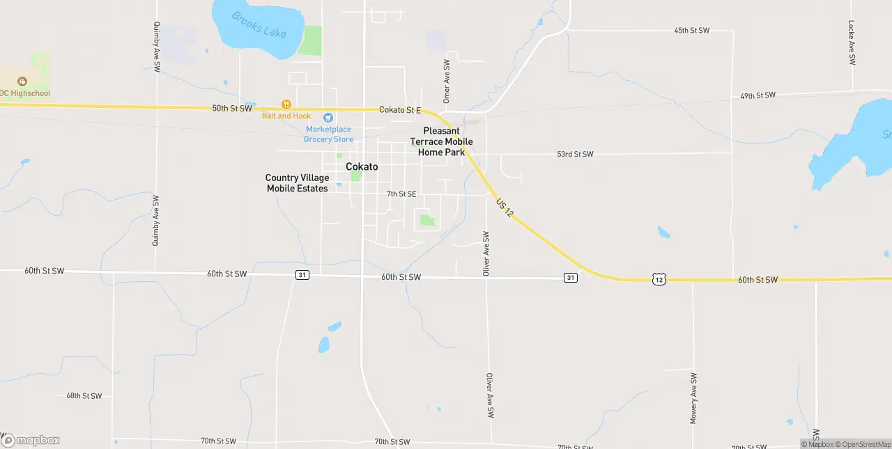 Internet in Cokato