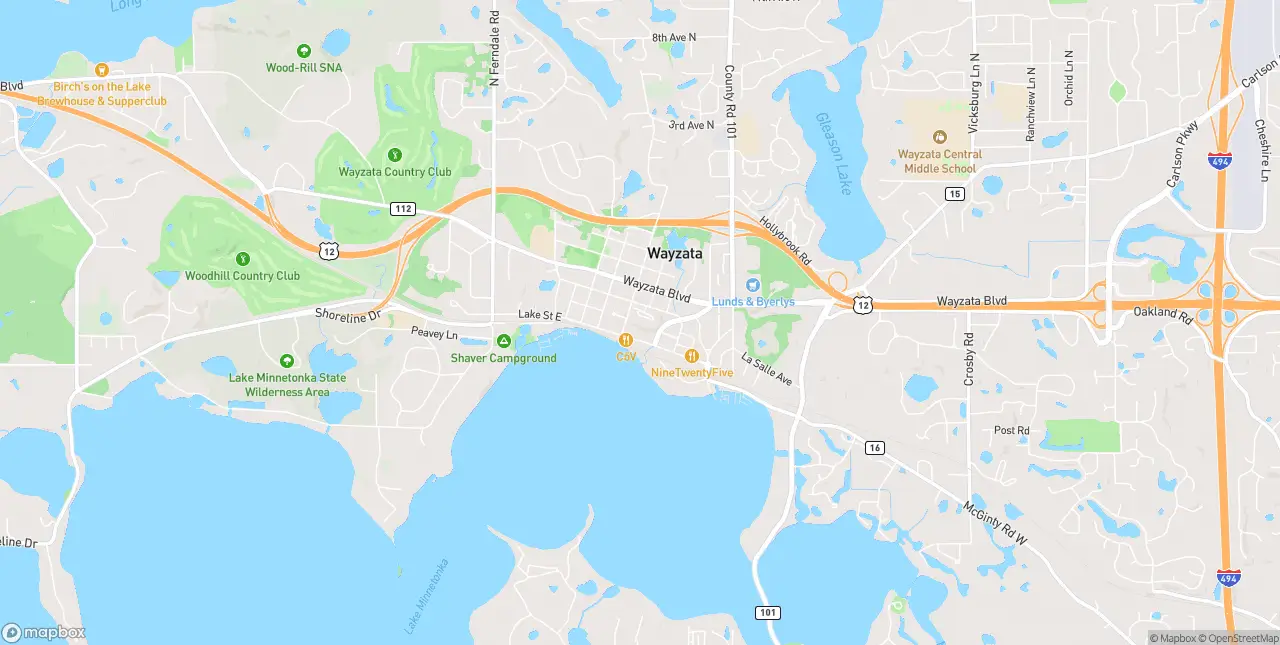 Internet in Wayzata