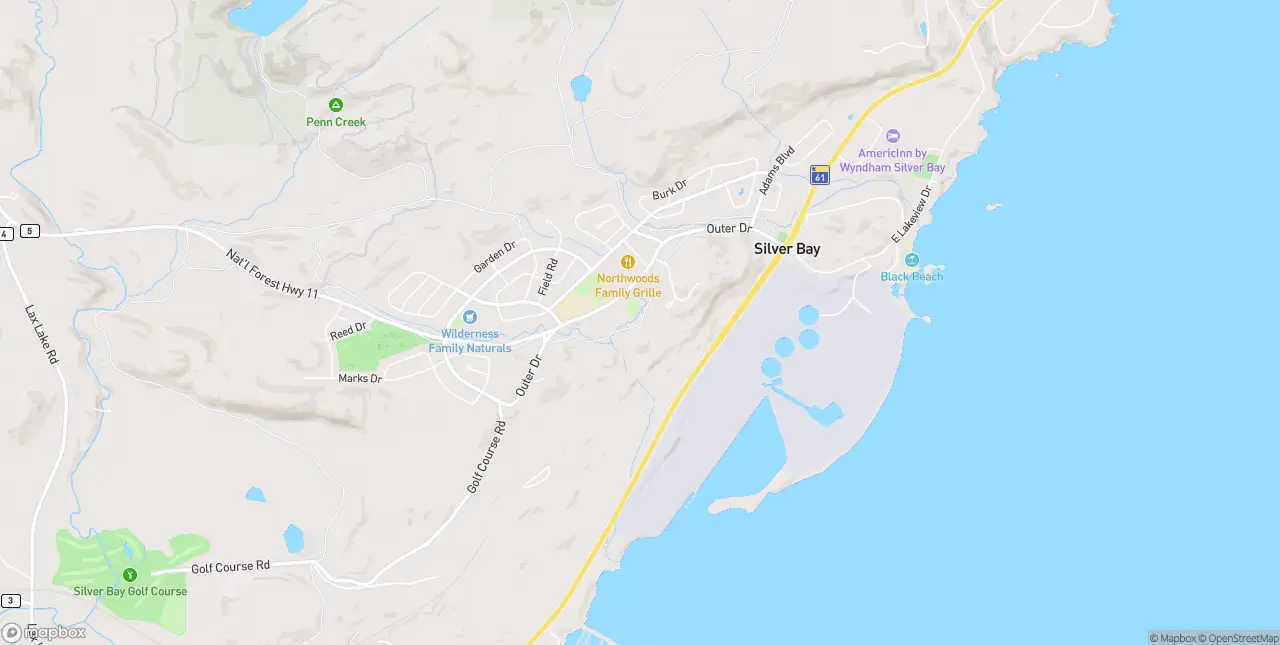 Internet in Silver Bay