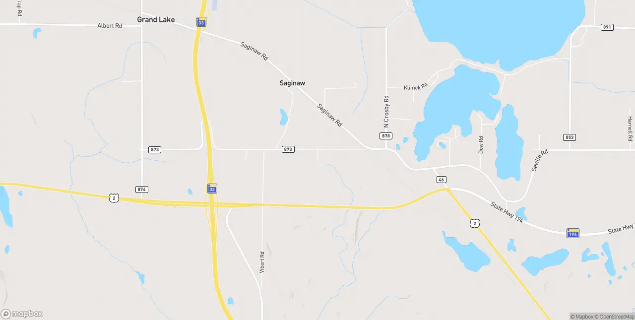 Internet in Saginaw