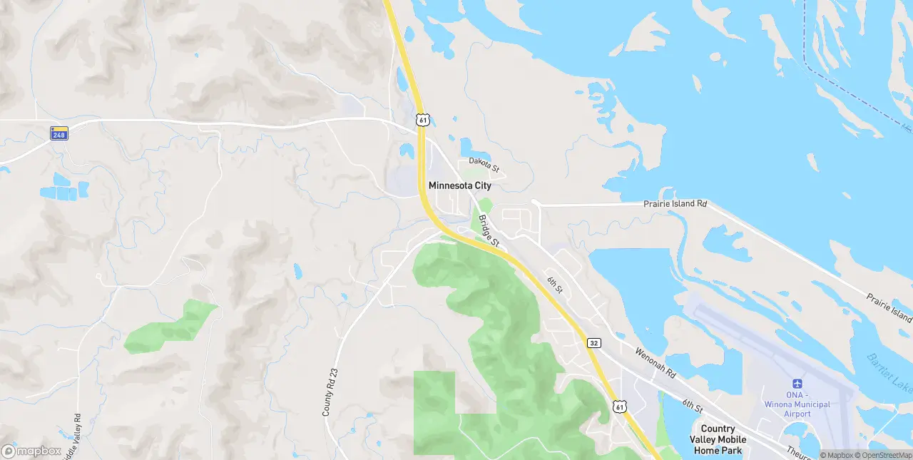 Internet in Minnesota City