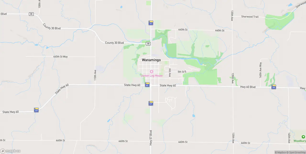 Internet in Wanamingo
