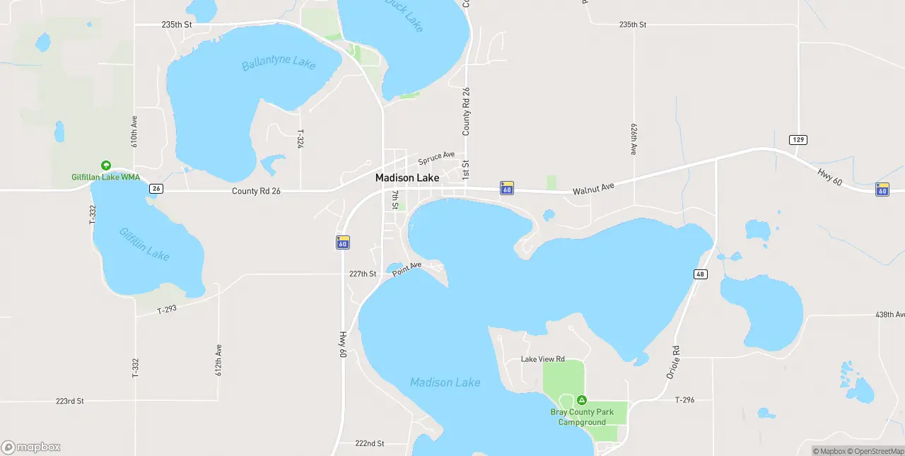 Internet in Madison Lake