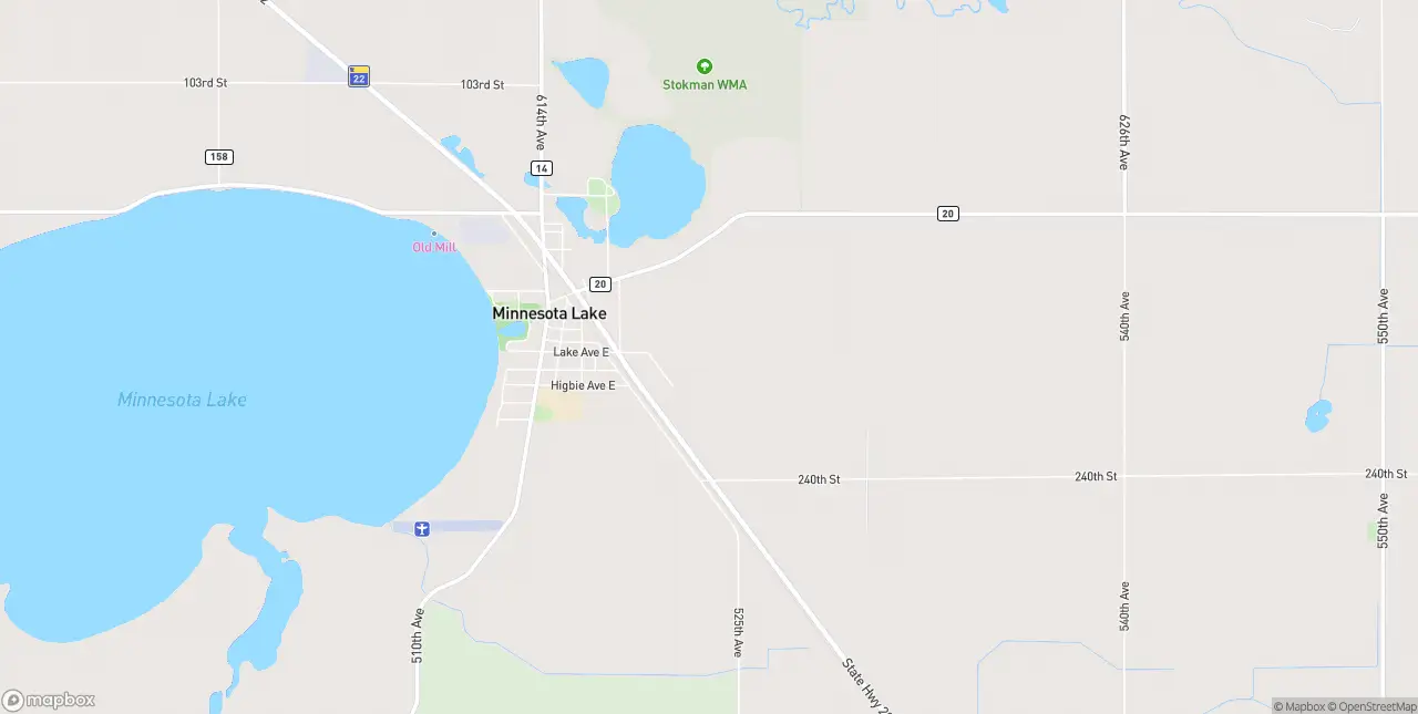Internet in Minnesota Lake