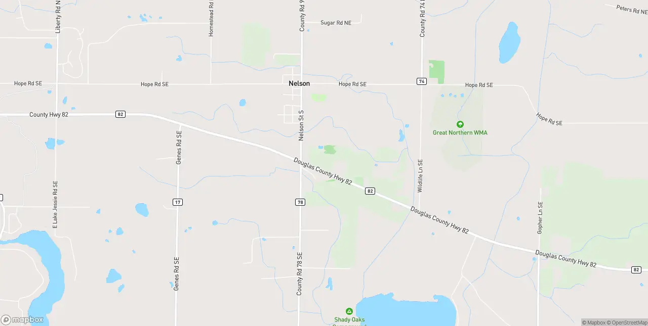 Internet in Nelson