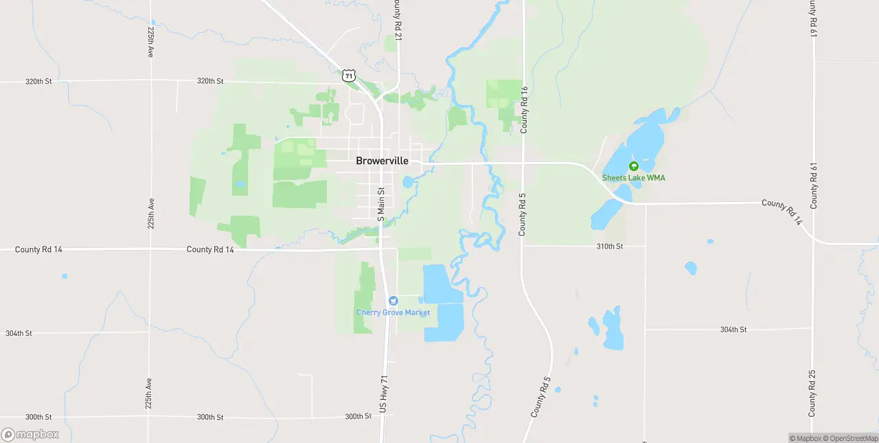 Internet in Browerville