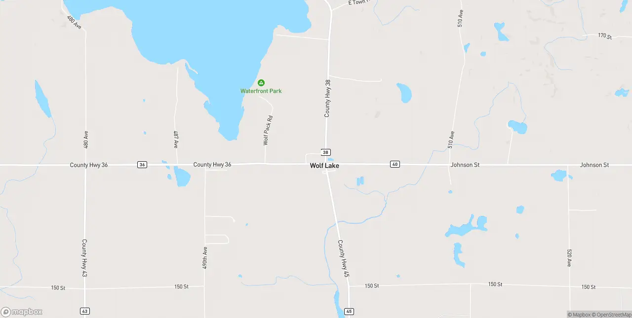 Internet in Wolf Lake