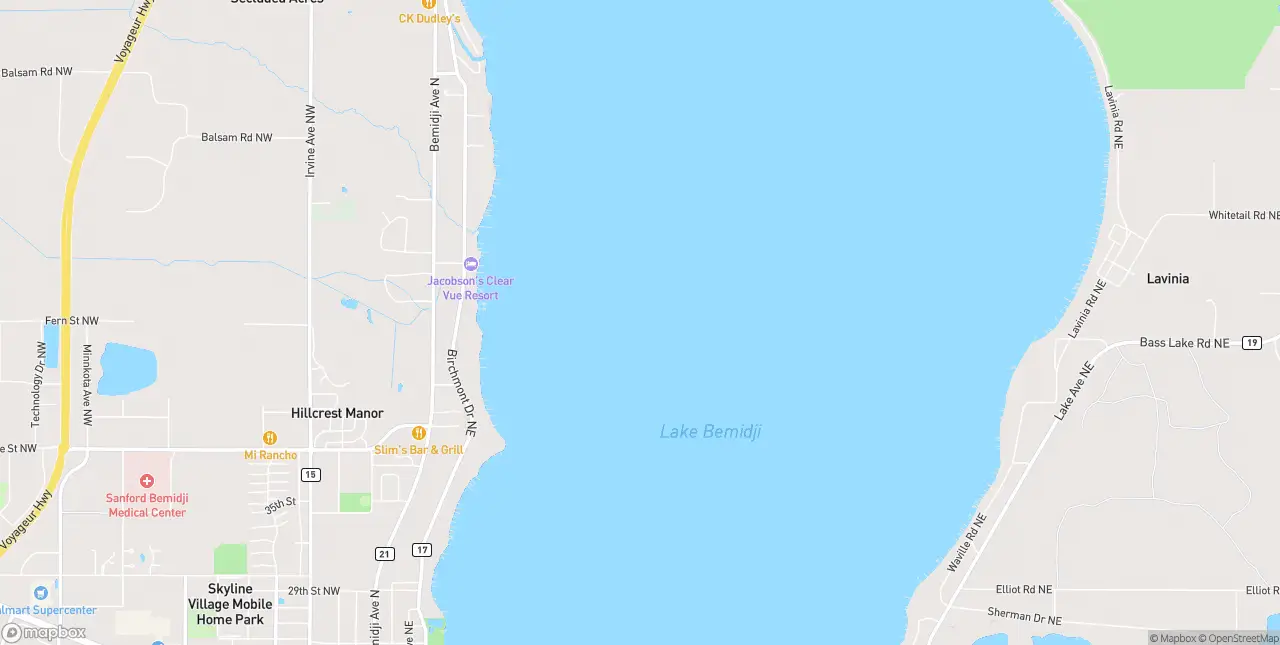 Internet in Bemidji