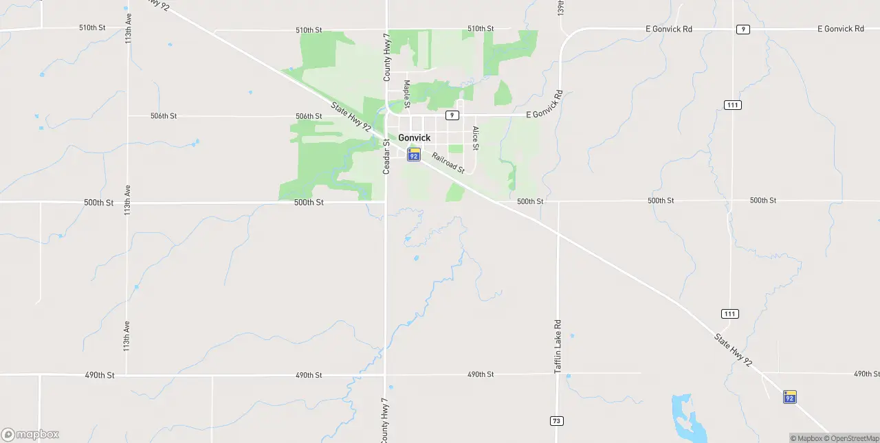 Internet in Gonvick