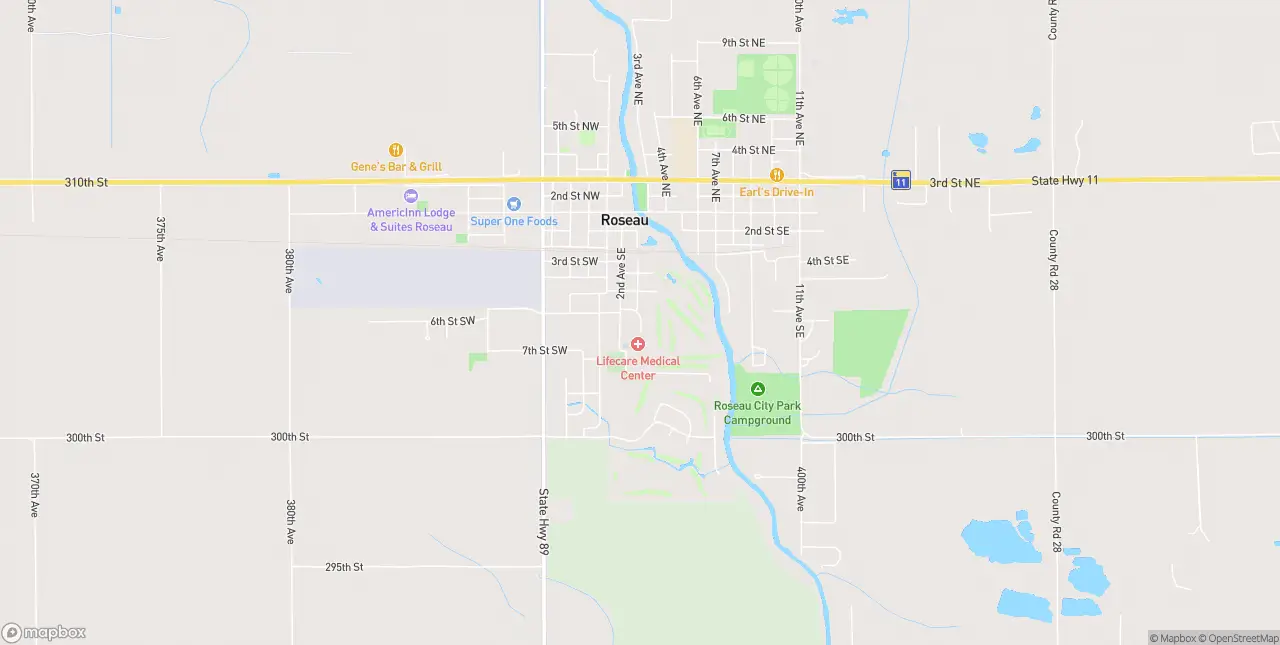 Internet in Roseau