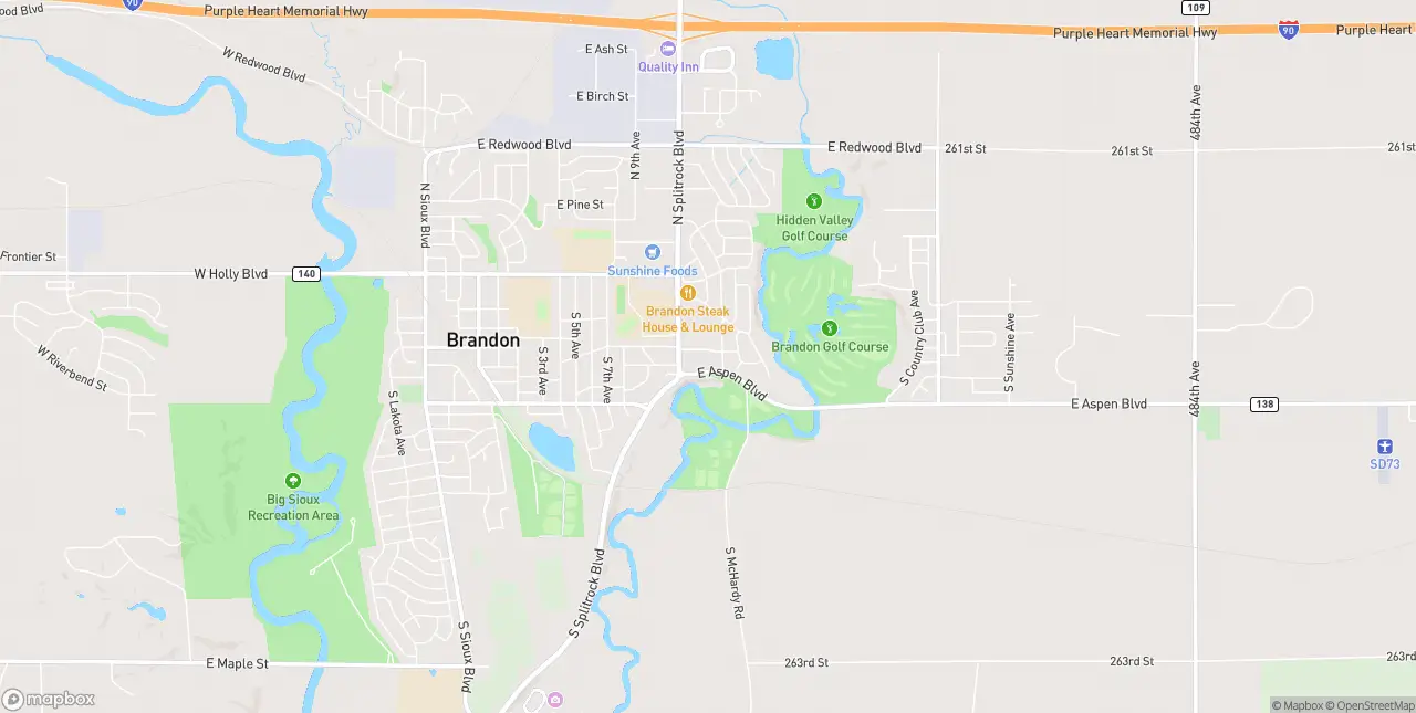 Internet in Brandon