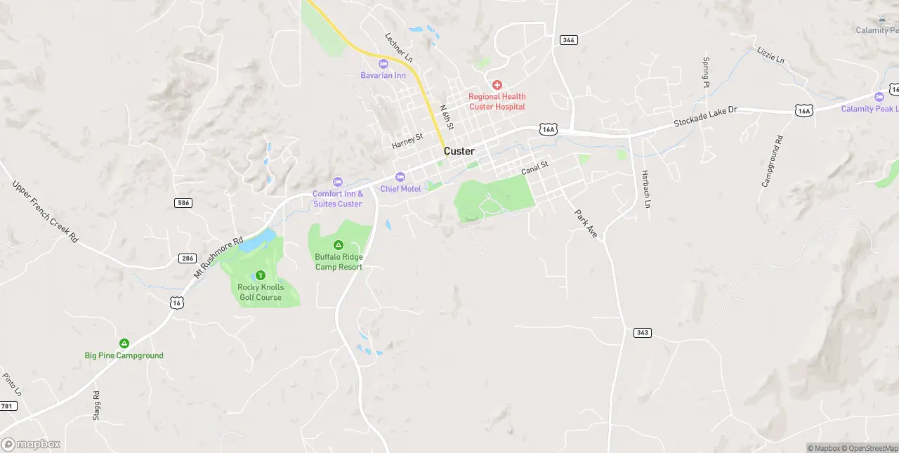 Internet in Custer