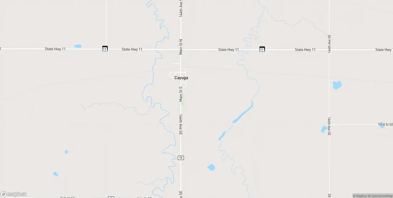 Internet in Cayuga