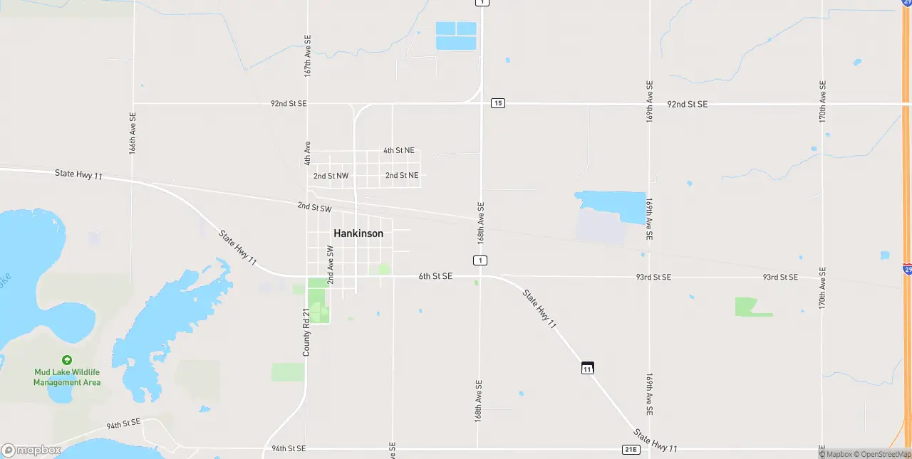 Internet in Hankinson