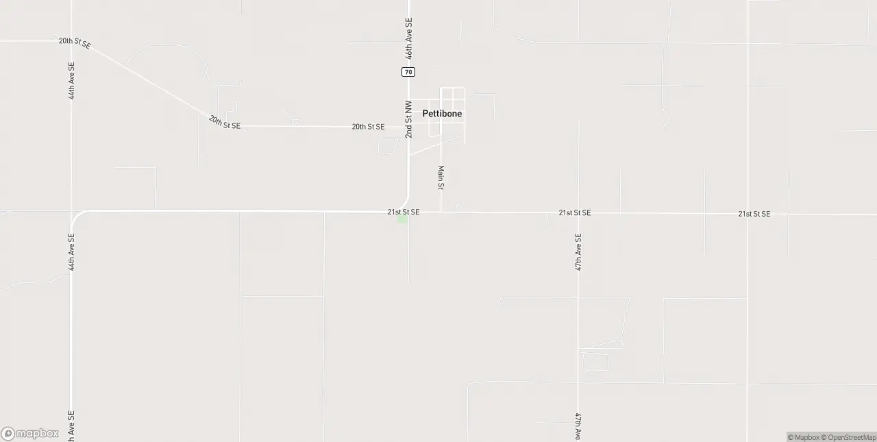 Internet in Pettibone