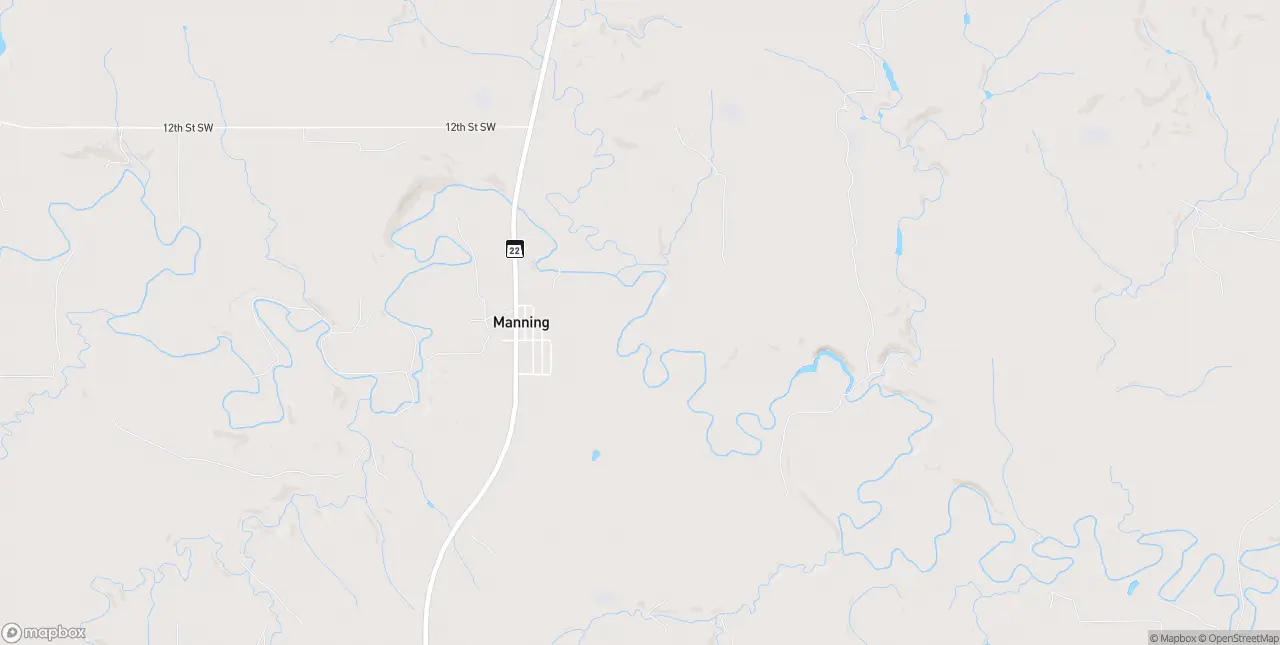 Internet in Manning