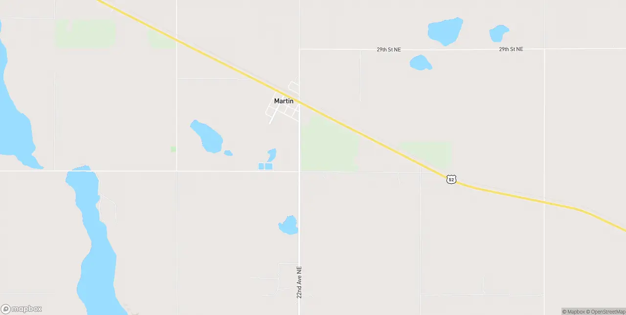 Internet in Martin