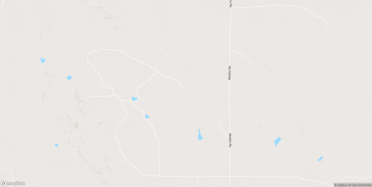 Internet in Lavina