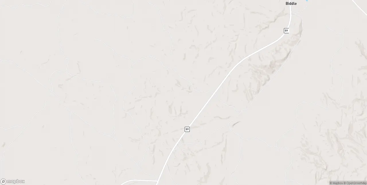 Internet in Biddle