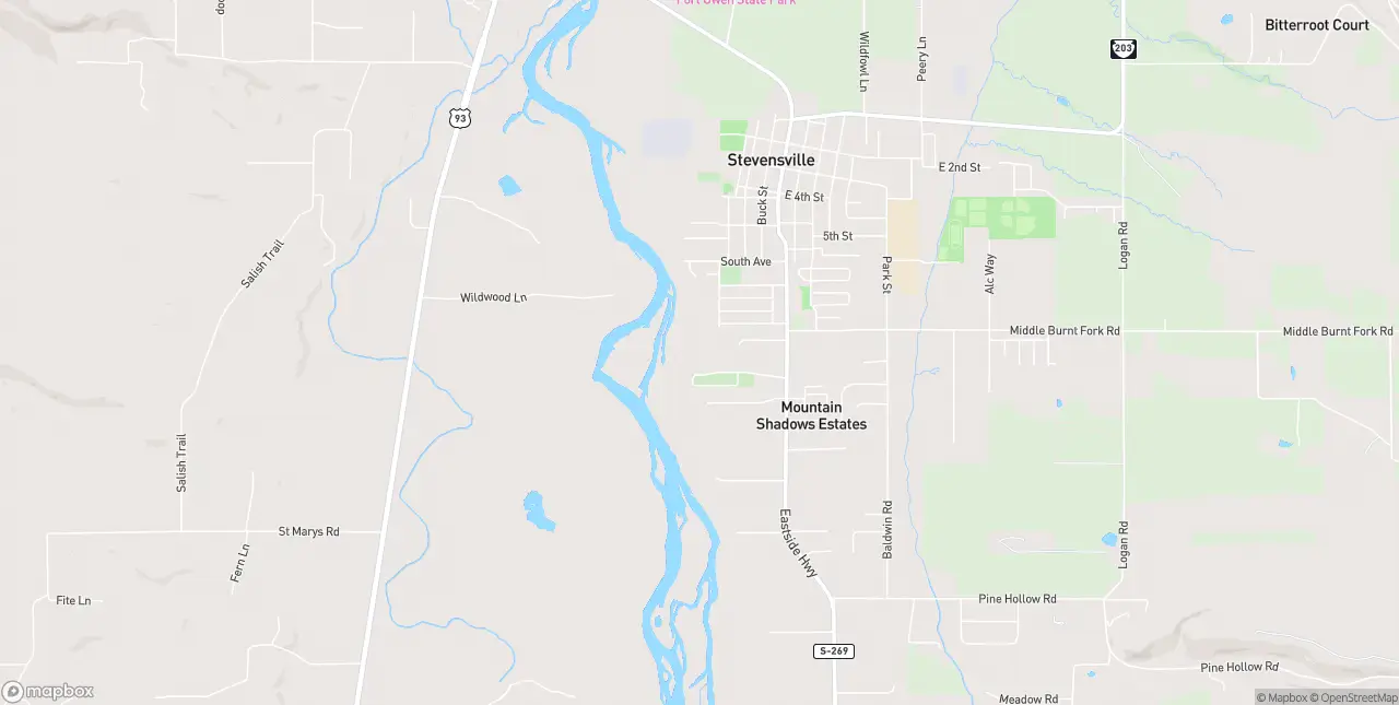 Internet in Stevensville
