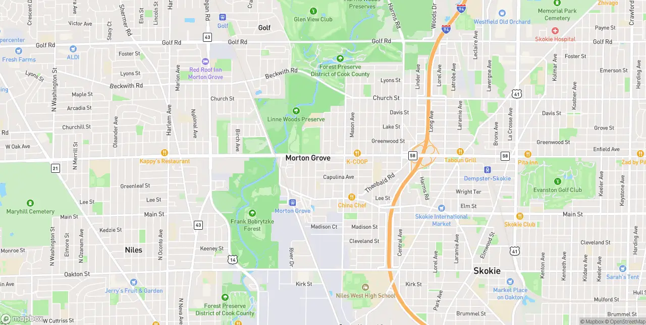 Internet in Morton Grove