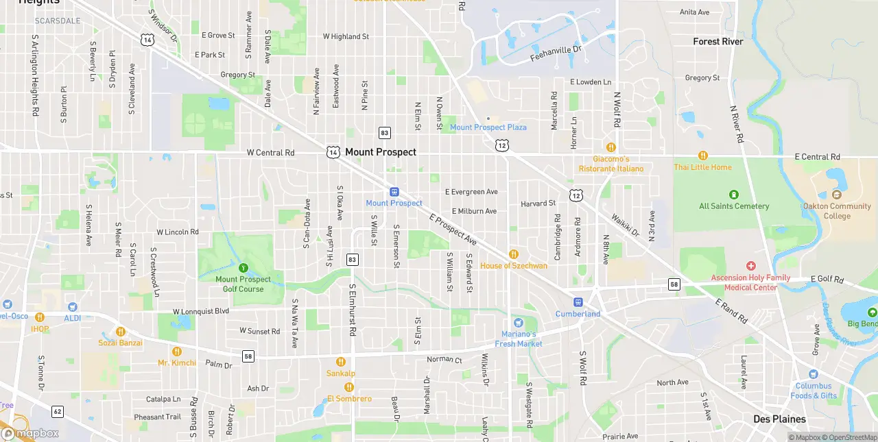 Internet in Mount Prospect