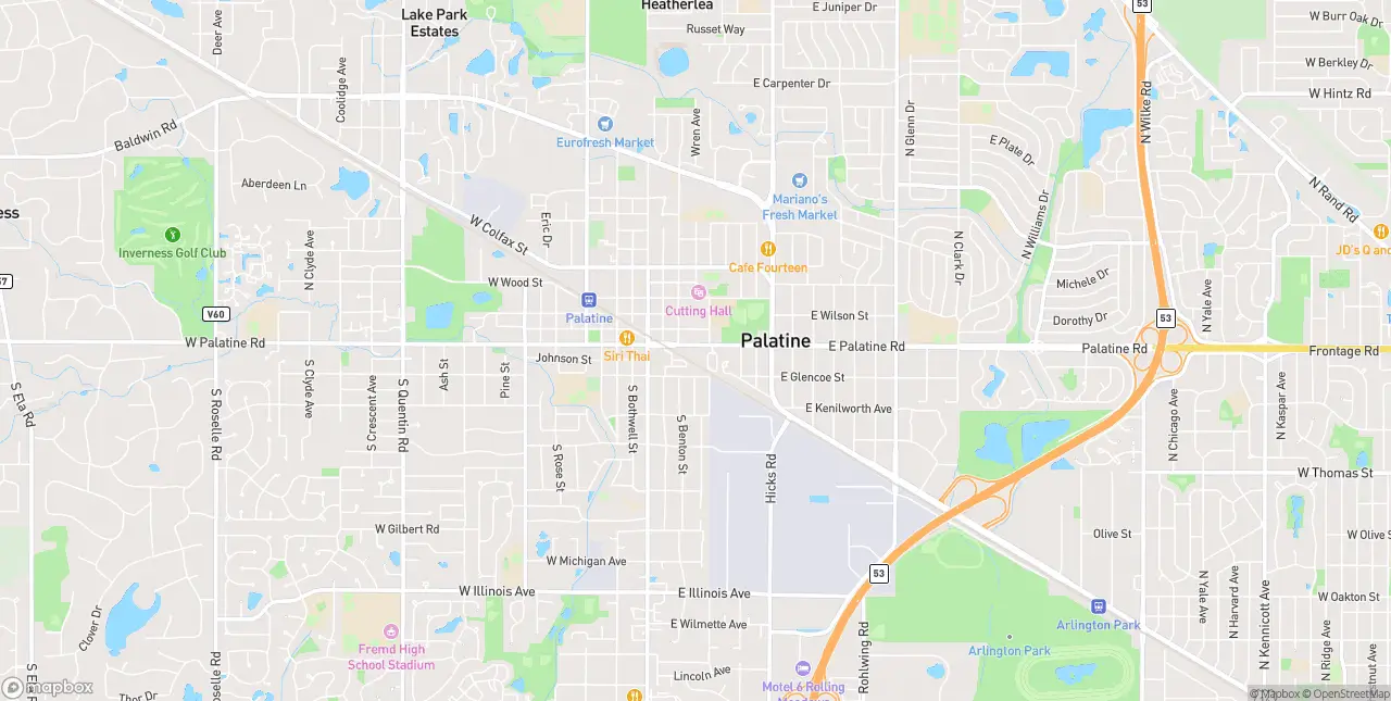 Internet in Palatine