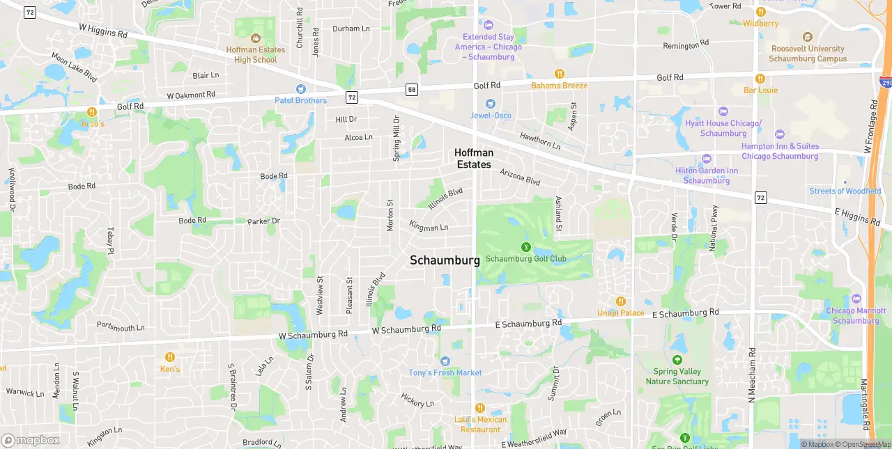 Internet in Schaumburg